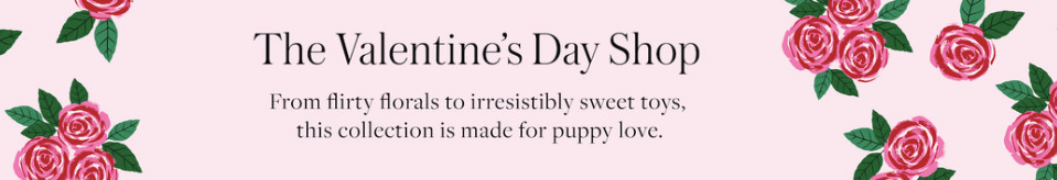 美國The foggy dog 質感領巾服飾開團