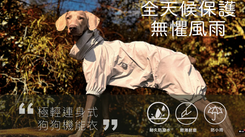 PETT2GO (副本)