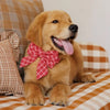 情人節格紋蝴蝶結 Plaid Valentine Lady Dog Bow
