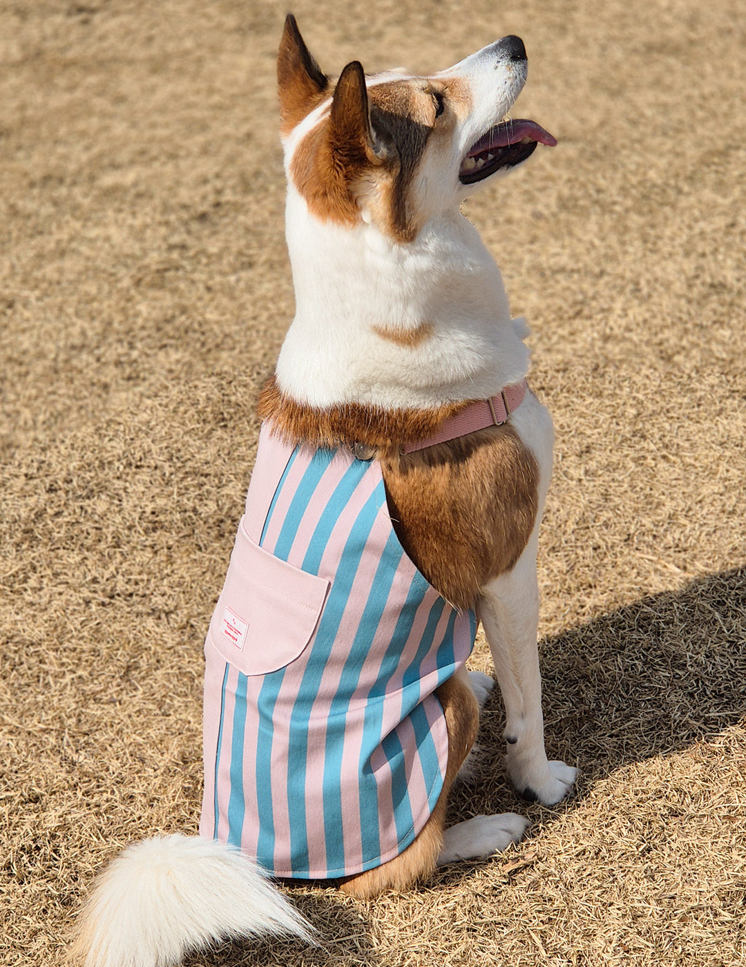 【預購】Half & Half 拼色吊帶裙-粉藍