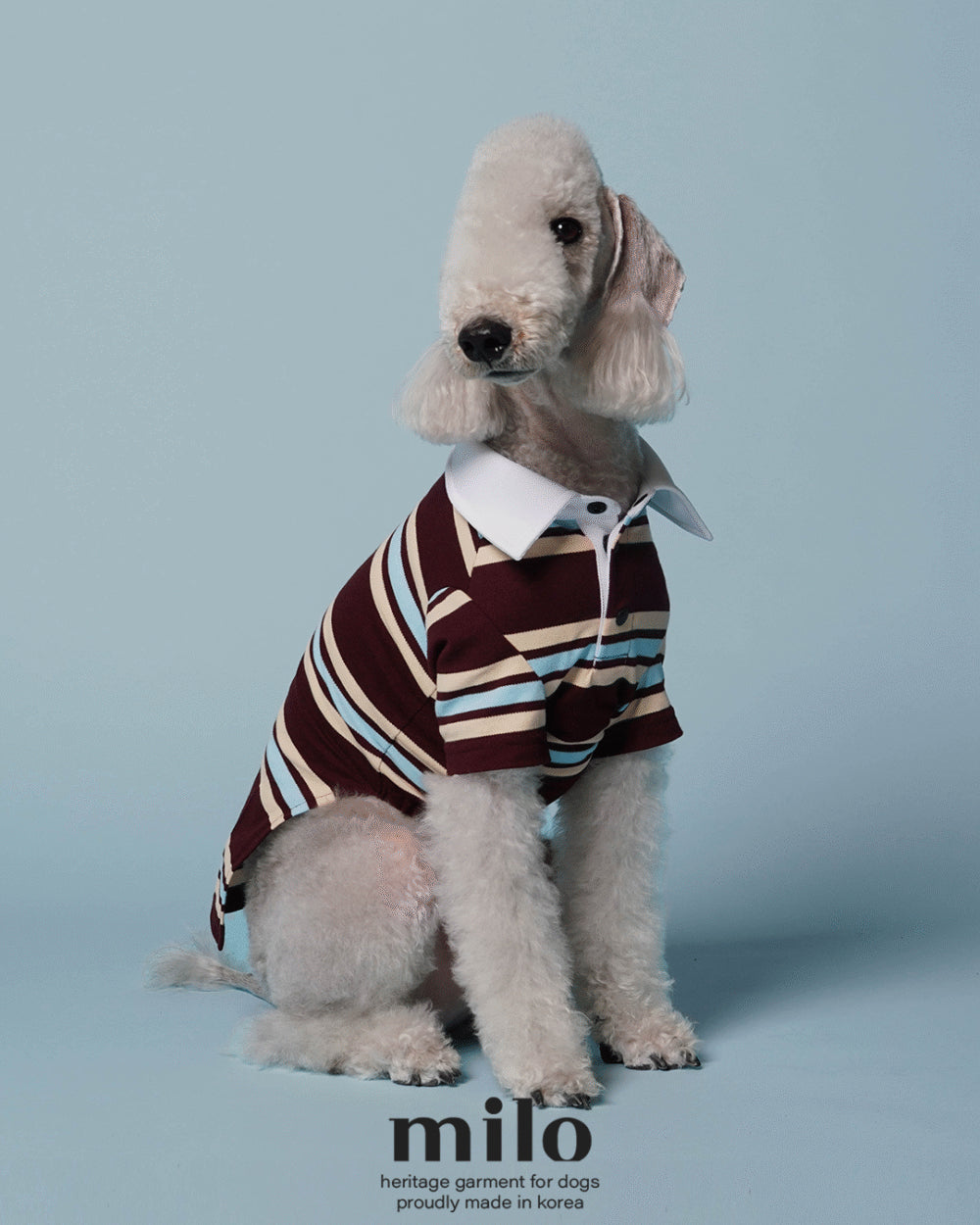 經典條紋T-Shirt 酒紅款