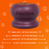 【預購】Freezball  冰淇淋球冷凍舔食杯