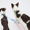 全防水短牽繩 Hik-end Waterproof Traffic Leash