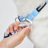 全防水短牽繩 Hik-end Waterproof Traffic Leash