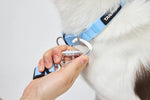全防水短牽繩 Hik-end Waterproof Traffic Leash