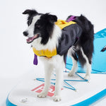 氣墊式救生衣 Inflatable Dog Wetsuit