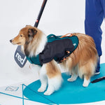 氣墊式救生衣 Inflatable Dog Wetsuit