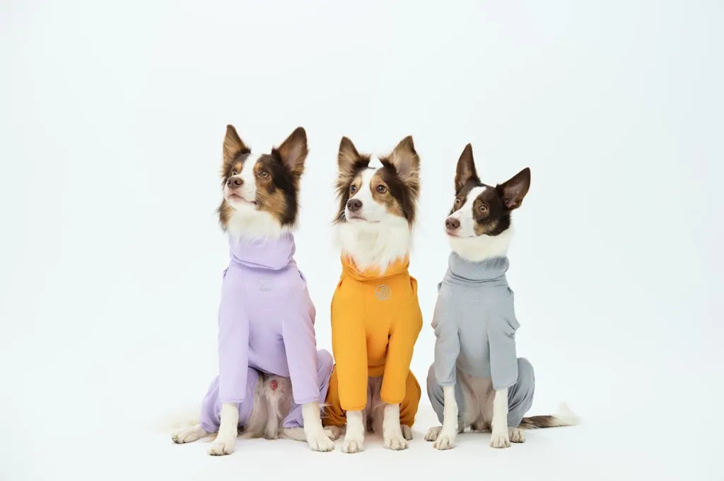 四季防蟲衣 Anti-Bug Active Suit