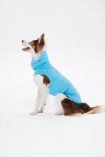 抗UV機能涼感衣背心款 Go2 Cooling Guard Top