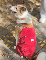 【預購】酒紅燈芯絨吊帶褲
