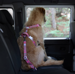 旅行汽車用安全帶 TRIP SEAT BELT 粉色