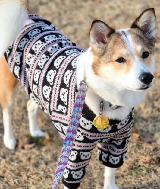 【預購】熊熊針織毛衣 - 卡其 / 黑色