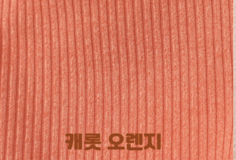 主打推薦款♡素色百搭超彈力舒適上衣