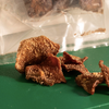 豬背起司片 37g