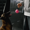 皮革系列｜Ball Tug 球球拉扯玩具