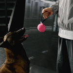 【預購】皮革系列｜Ball Tug 球球拉扯玩具