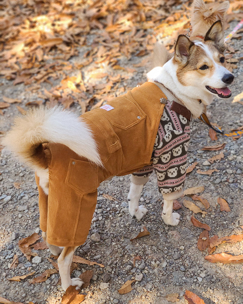 【預購】焦糖燈芯絨吊帶褲