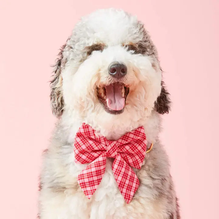 情人節格紋蝴蝶結 Plaid Valentine Lady Dog Bow