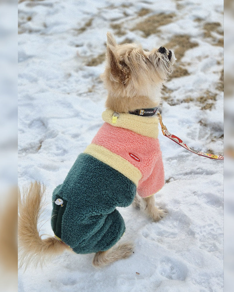 【預購】Fleece 粉嫩撞色刷毛狗狗四腳衣－蜜桃綠