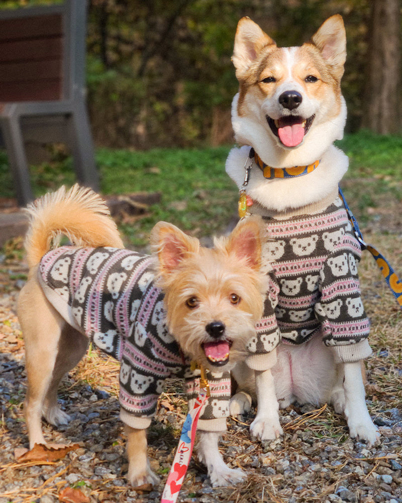 【預購】熊熊針織毛衣