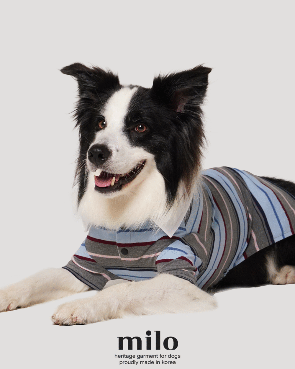 經典條紋T-Shirt 經典灰款