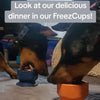 【現貨】 FreezCup 冷凍六角形舔食杯