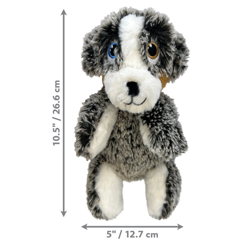 舒適幼犬-戈爾迪/奧奇/弗里茨/始伯特 M