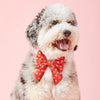 草莓甜心蝴蝶結 Berry Sweet Lady Dog Bow