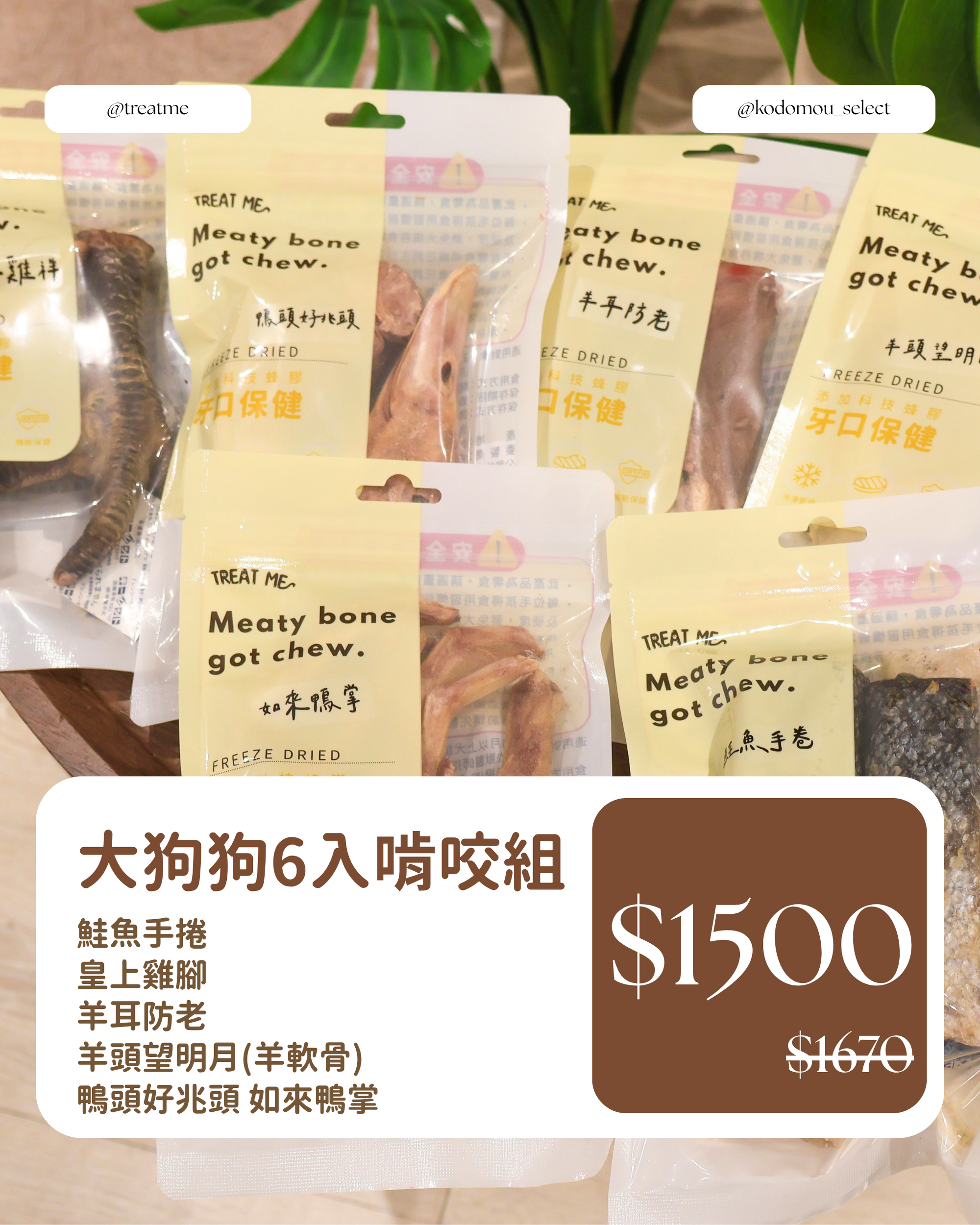 大狗狗6入啃咬組