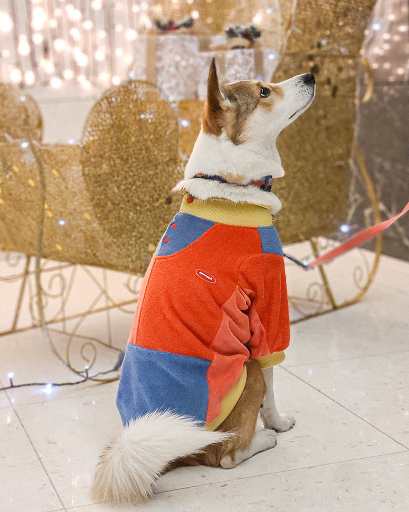 【預購】Color Pop 亮彩衛衣－橘色