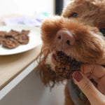 羅勒地瓜鹿肉片