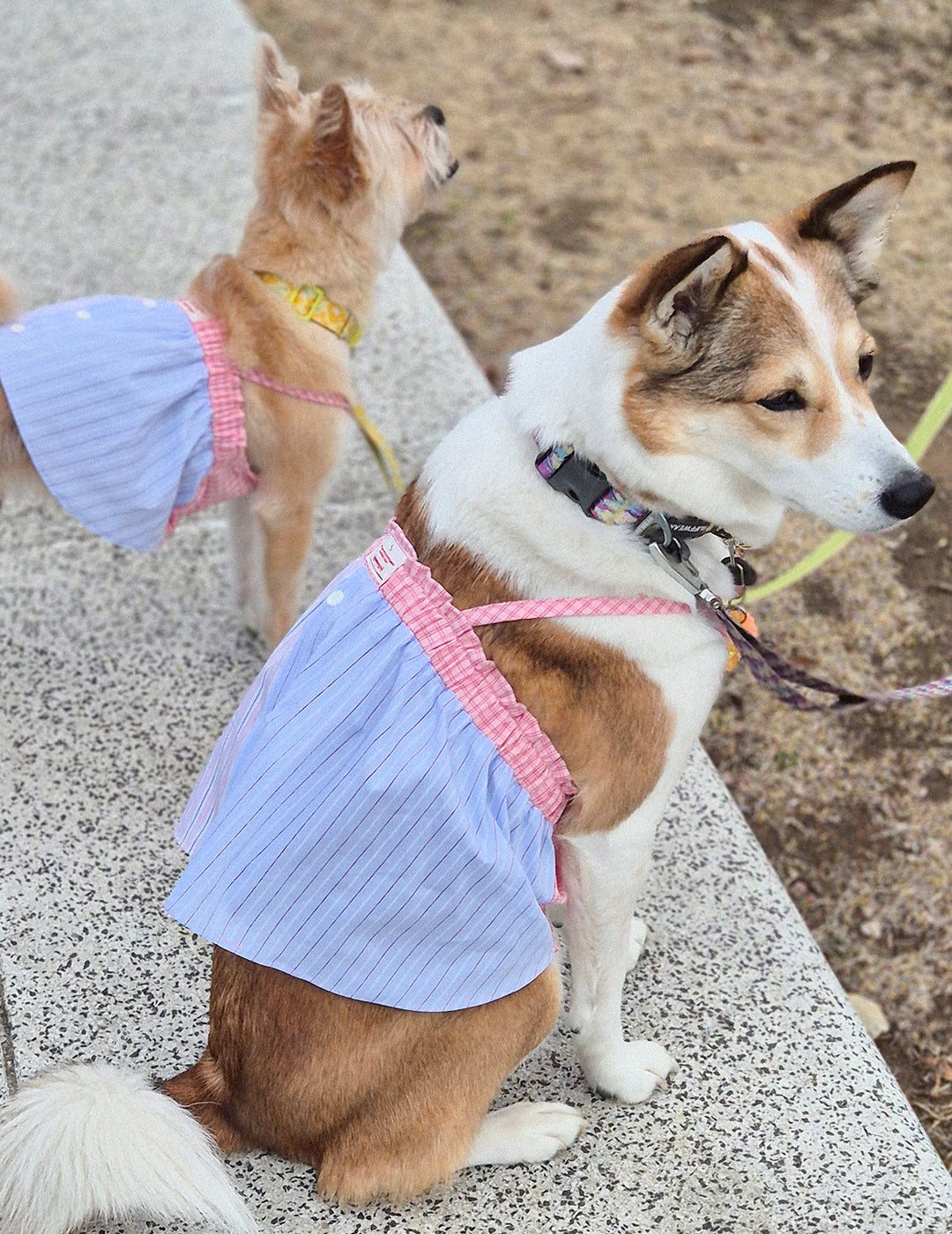 【預購】夢幻粉紫條紋撞色短版上衣