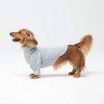 All Day Rhodes Sleeve Cloud Gray 全天候居家室內活動服
