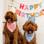 【預購】藍色生日領巾 Birthday Boy