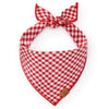 夏日紅格紋純棉領巾 Red Gingham Summer