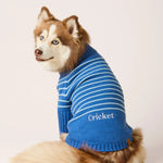 【預購】藍色條紋高領拉練毛衣 Blue Stripe Quarter-Zip