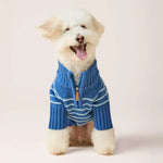 【預購】藍色條紋高領拉練毛衣 Blue Stripe Quarter-Zip