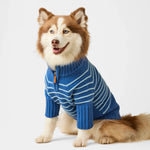 【預購】藍色條紋高領拉練毛衣 Blue Stripe Quarter-Zip