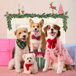 聖誕老人蝴蝶結 Santa Paws
