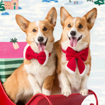 聖誕老人蝴蝶結 Santa Paws