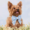 小雛菊刺繡蝴蝶結 Daisy Embroidered Lady Dog Bow