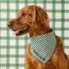 綠色格紋純棉領巾 Evergreen Gingham