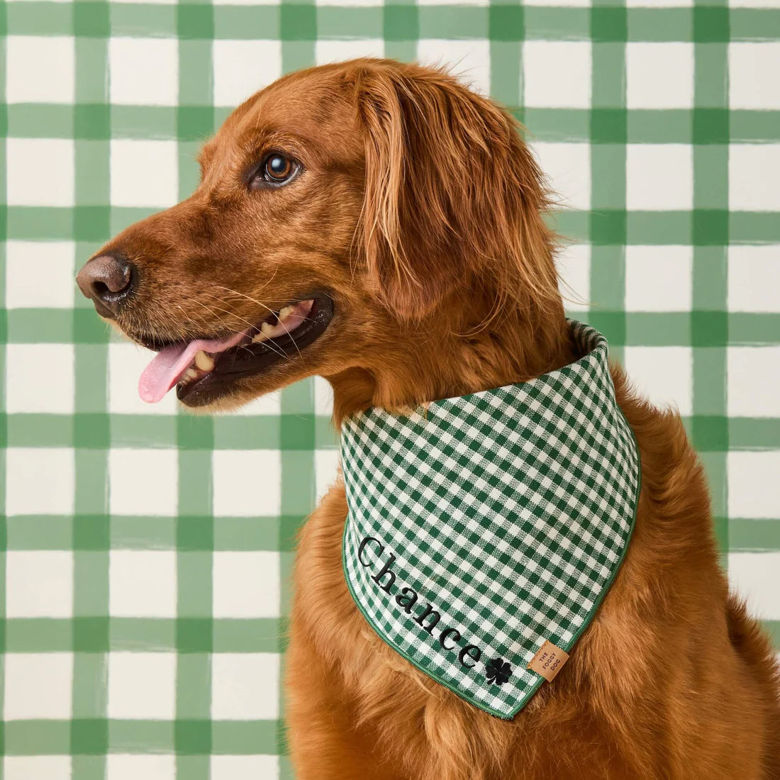 綠色格紋純棉領巾 Evergreen Gingham
