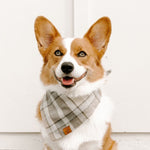 【預購】安多弗格紋法蘭絨領巾 Andover Plaid Flannel