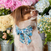 花園蝴蝶結 Jardin Lady Dog Bow