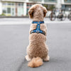Comfort Walk Air 胸背帶 (戶外運動首選)