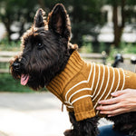 【 預購 】芥末黃條紋高領拉練毛衣 Mustard Stripe Quarter-Zip