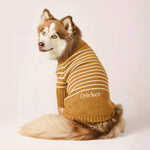 【 預購 】芥末黃條紋高領拉練毛衣 Mustard Stripe Quarter-Zip