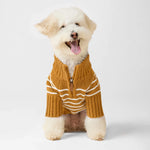 【 預購 】芥末黃條紋高領拉練毛衣 Mustard Stripe Quarter-Zip