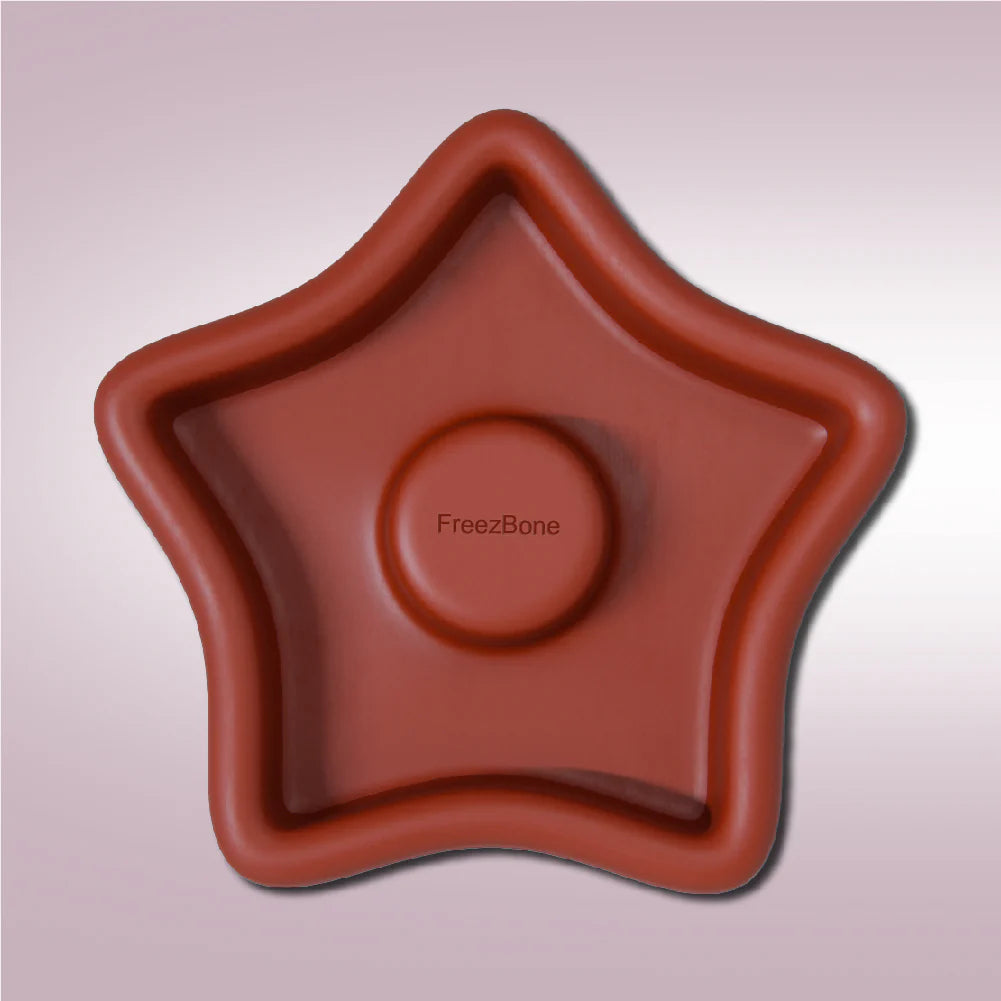 【現貨】 FreezStar 星星冷凍舔食玩具